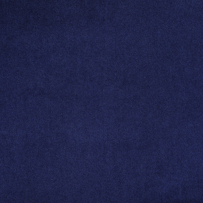 Cheyanne Upholstered Wingback Side Chair with Nailhead Trim (Set of 2)