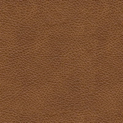 Carianna Sofa - Sims Furniture