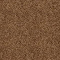 Bolsena Sofa Sleeper - Sims Furniture