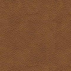 Carianna Loveseat - Sims Furniture